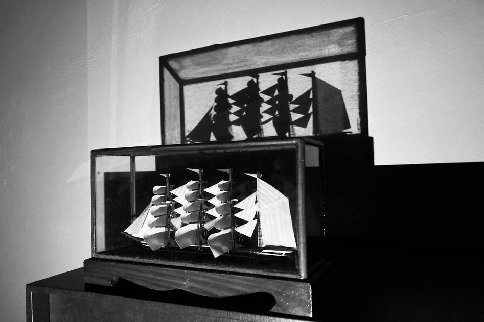 Curated shadow box collection on wooden shelf